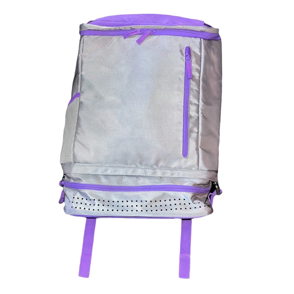 Staples Purple and Gray Backpack